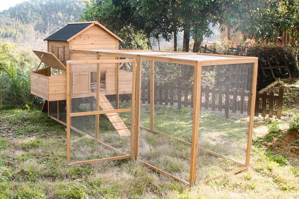 RESORT CHICKEN COOP AND RUN.  Limited available