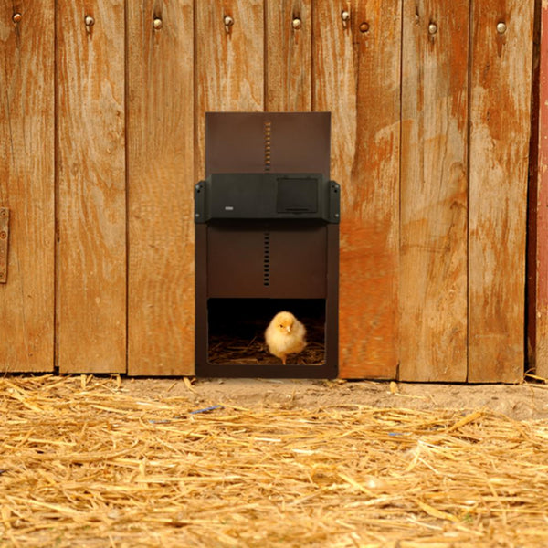 Automatic Chicken Coop Door Light Sensor Automatic Chicken House Door High Quality and Practical Chicken Pets Duck Cages Door