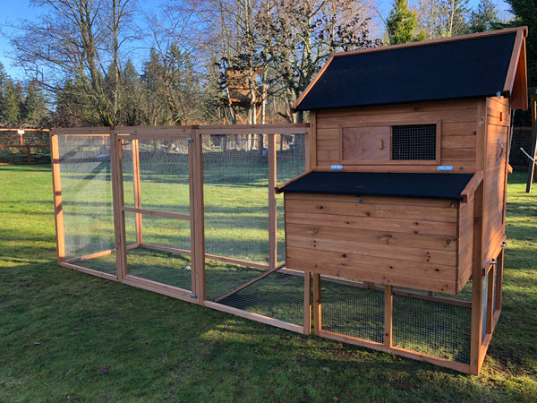 RESORT CHICKEN COOP AND RUN.  Limited available