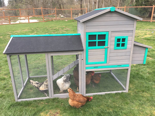 The LODGE Coop. New color and size!  Pre-Sale