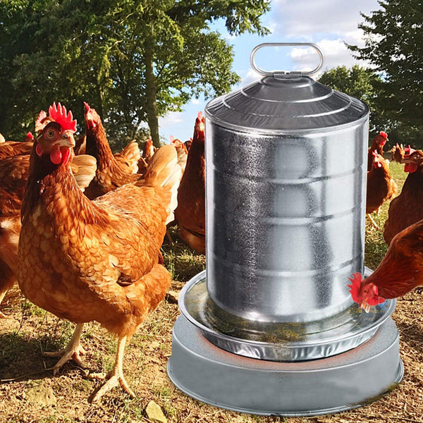 Poultry Waterer Drinker Heated Base with Thermostat Chicken Water Heater for Winter Deicer Heated Base for Coop Accessories
