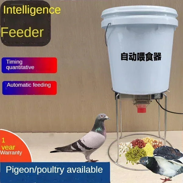 Automatic Chicken Feeder Pigeon Chicken Duck Carrier Pigeon Trough Intellegent Timing Automatic Chicken Feeder Pigeon Supplies