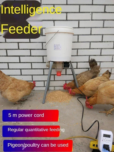 Automatic Chicken Feeder Pigeon Chicken Duck Carrier Pigeon Trough Intellegent Timing Automatic Chicken Feeder Pigeon Supplies