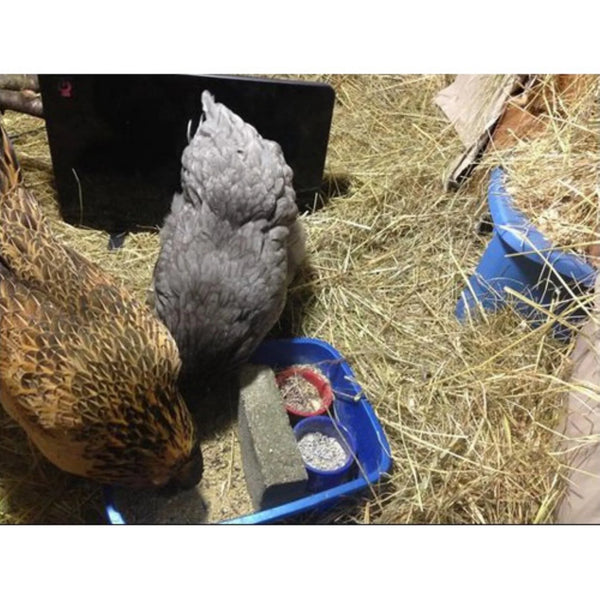 Cozy Coop Chicken Coop Heater, 200-Watt, Safe Radiant Space Heater