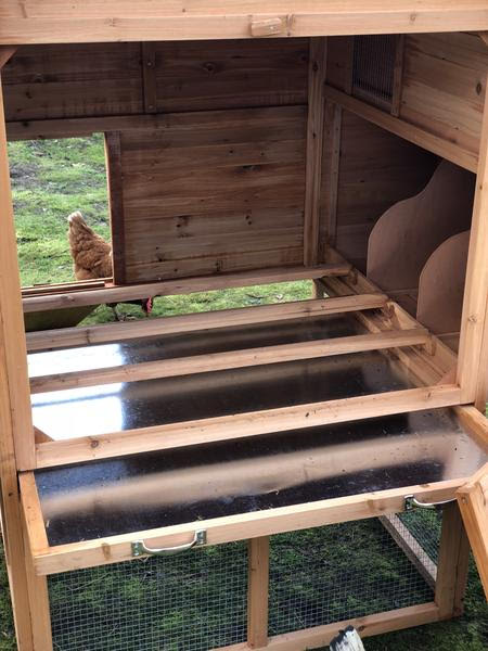 RESORT CHICKEN COOP AND RUN. PRE-SALE END OF APRIL SHIPPING