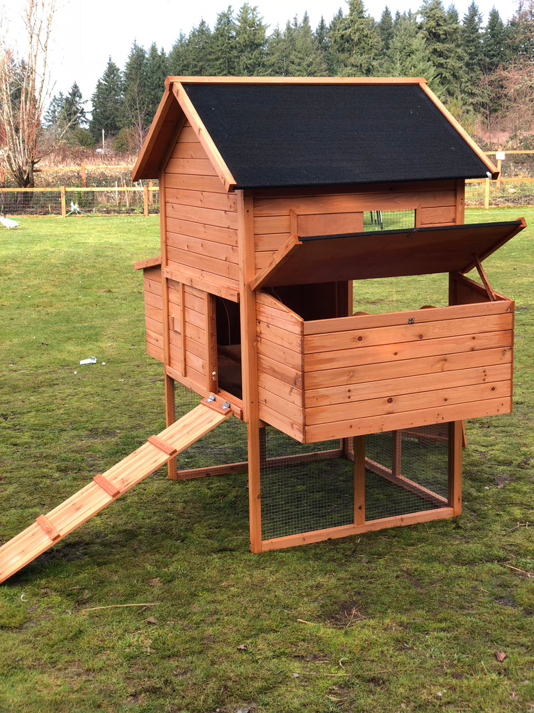 Resort chicken coop house only. in stock Urban Northern Coops
