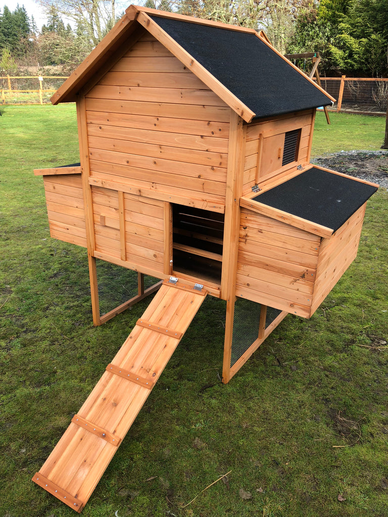 Resort chicken coop house only. in stock Urban Northern Coops