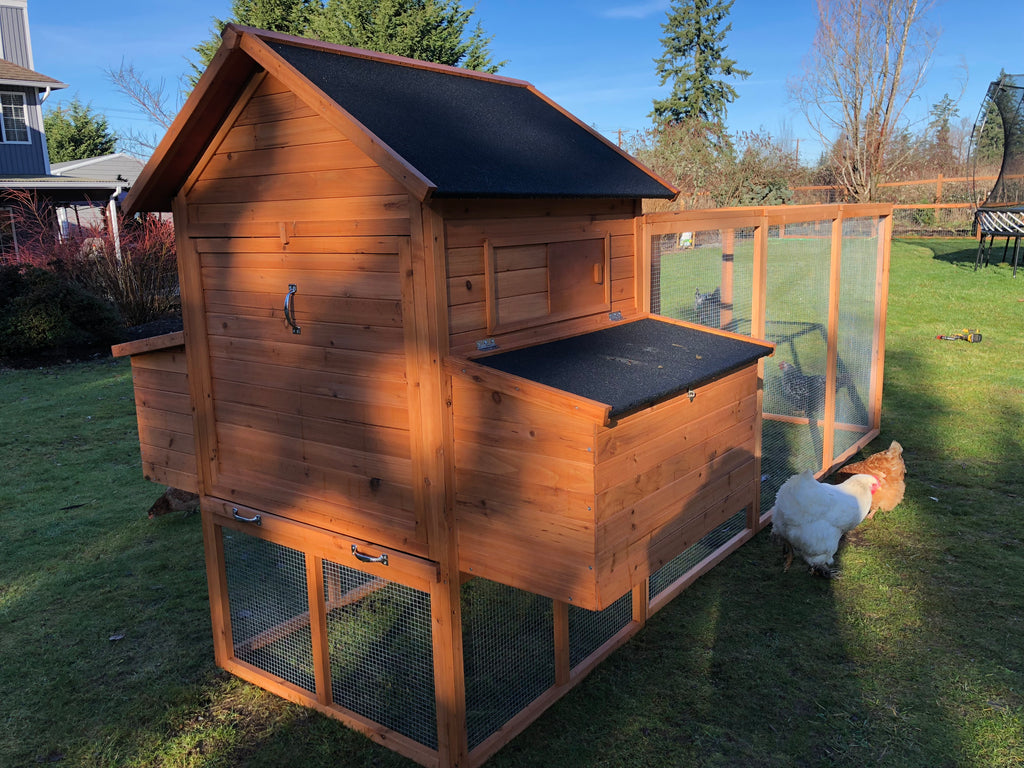 Resort chicken coop house only. in stock Urban Northern Coops