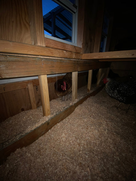 Large chicken coop plans