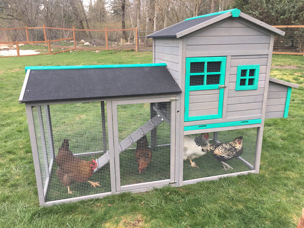 The LODGE Coop. New color and size! IN-STOCK