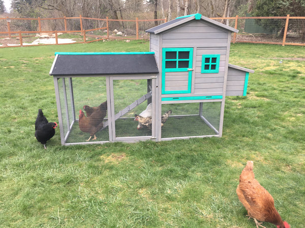 The LODGE Coop. New color and size!  Pre-Sale