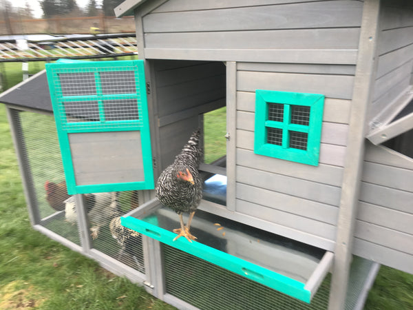 The LODGE Coop. New color and size! IN-STOCK