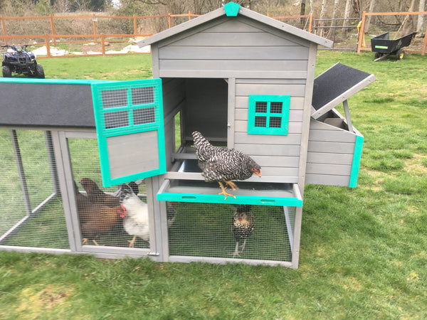 The LODGE Coop. New color and size! IN-STOCK